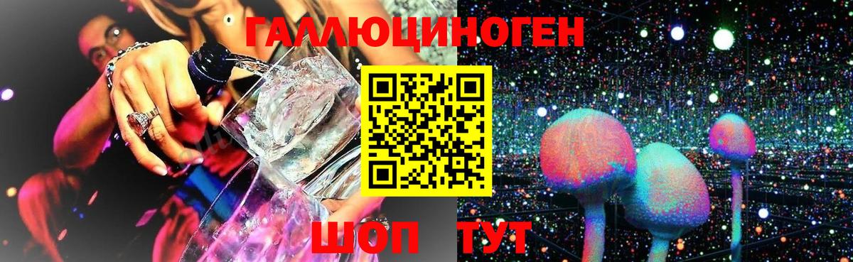 где продают наркотики  Псилоцибиновые грибы Psilocybe  Вход с VPN  Псилоцибиновые грибы MAGIC MUSHROOMS  Евпатория 