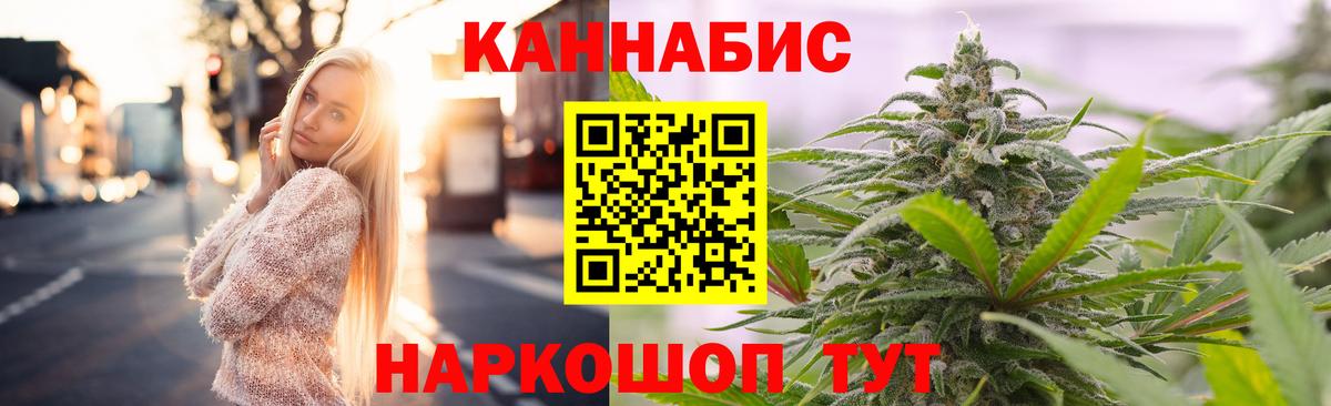 Бошки Шишки планчик Евпатория